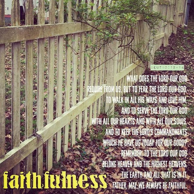 Photo Nov 12, 8 34 03 AM